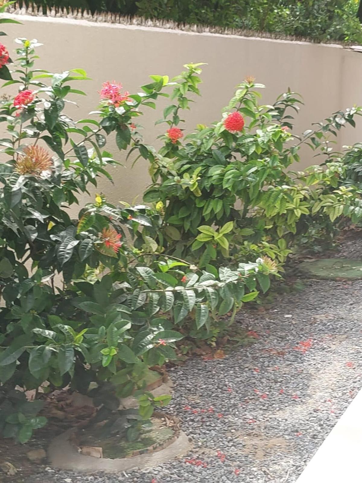 Flat Em Porto De Galinhas A 50 Metros Do Mar Apartment Exterior photo